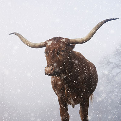 Texas Will Be Colder than Usual This Winter…Is Your Business Prepared for Potential Issues?
